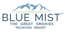 Blue Mist Logo